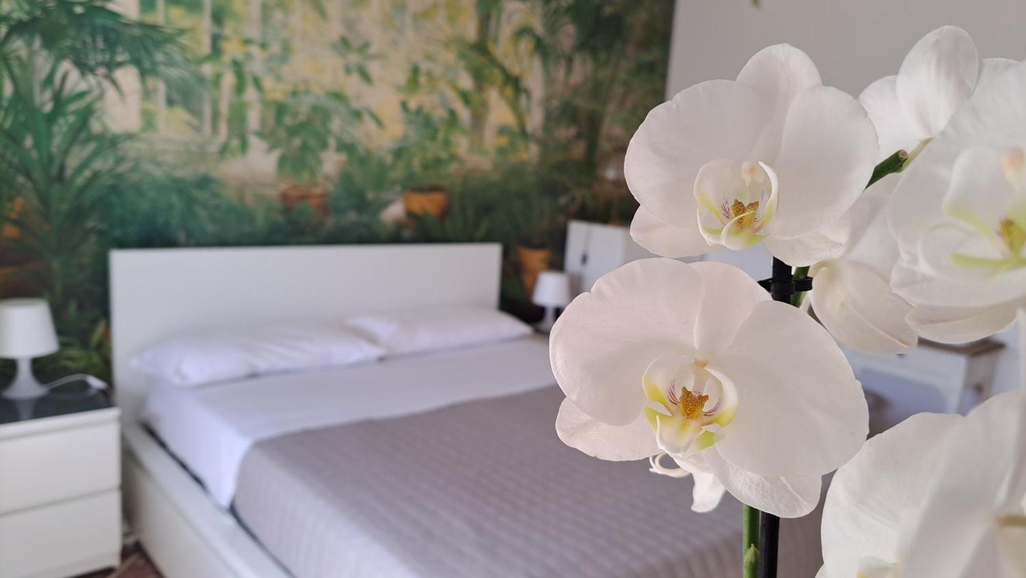 Appartamento Roma Citta Giardino 외부 사진